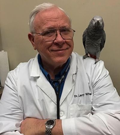 Dr. Larry White Briarcrest Veterinary Clinic Veterinarian-Endorsed Care for Animal Admiration Pet Care Services